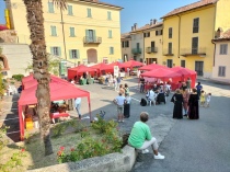 Foto di repertorio "Vendemmia in Arte 2023"